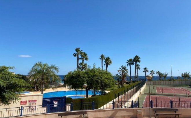 Resale - Apartment -
Mil Palmeras - Costa Blanca