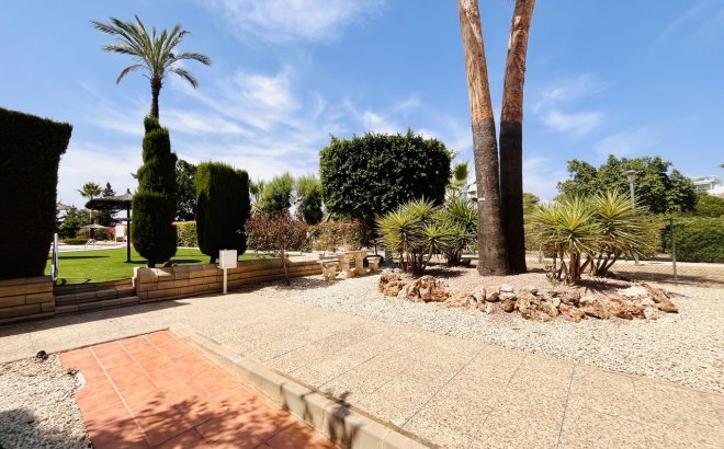 Revente - Appartement -
Villamartin - Costa Blanca