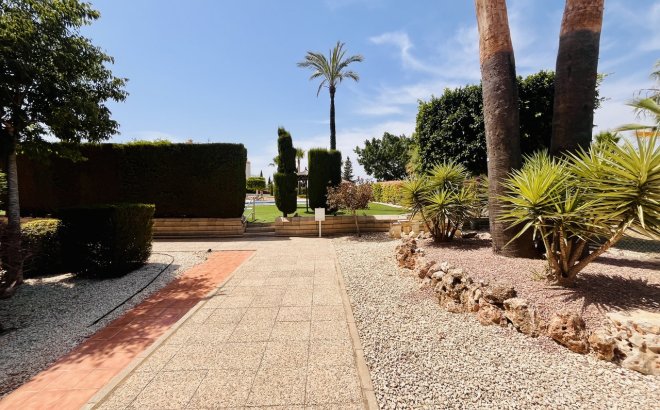 Revente - Appartement -
Villamartin - Costa Blanca
