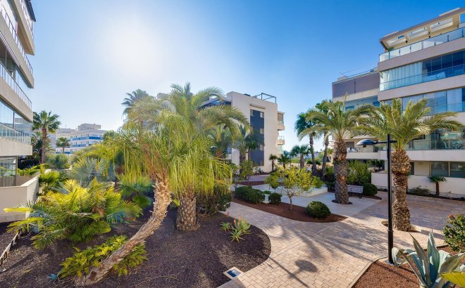 Resale - Apartment -
Orihuela Costa - Costa Blanca