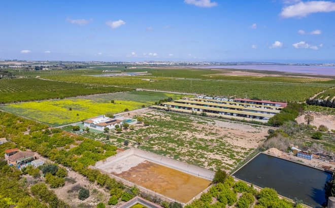 Resale - Villa -
Los Montesinos - Costa Blanca