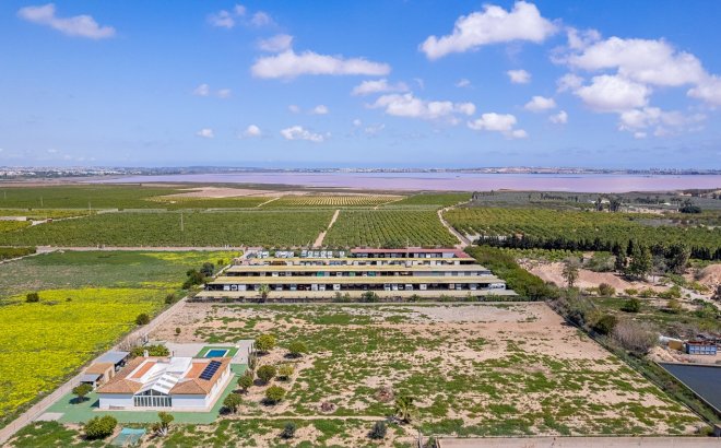 Resale - Villa -
Los Montesinos - Costa Blanca