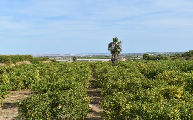 Resale - Villa -
Torremendo - Costa Blanca