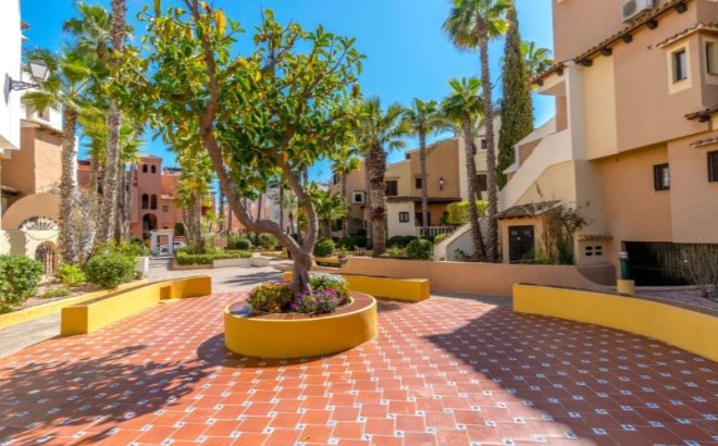 Resale - Penthouse -
Torrevieja - Costa Blanca