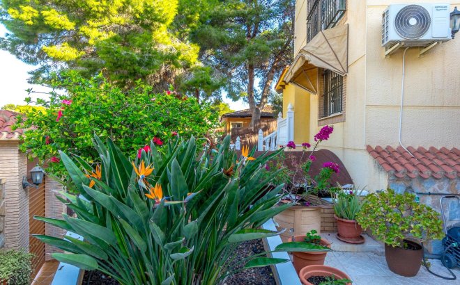 Resale - Villa -
Torrevieja - Los Balcones