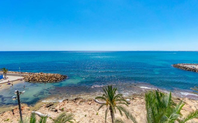 Revente - Appartement -
Torrevieja - Costa Blanca