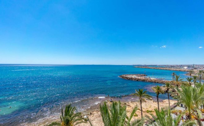Revente - Appartement -
Torrevieja - Costa Blanca