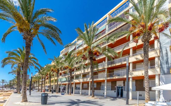 Revente - Appartement -
Torrevieja - Costa Blanca