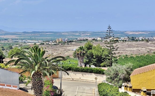 Resale - Villa -
San Miguel de Salinas - Inland