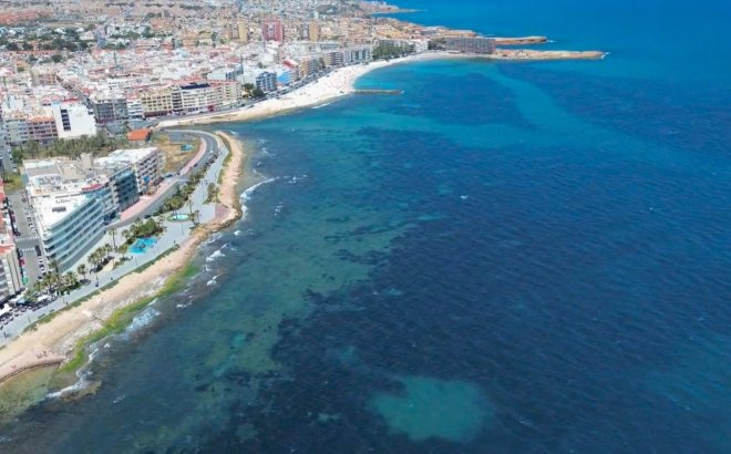 Resale - Apartment -
Torrevieja - Playa del Cura