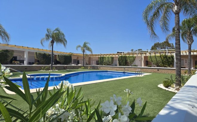 Resale - Town House -
Pilar de la Horadada - Mil Palmeras