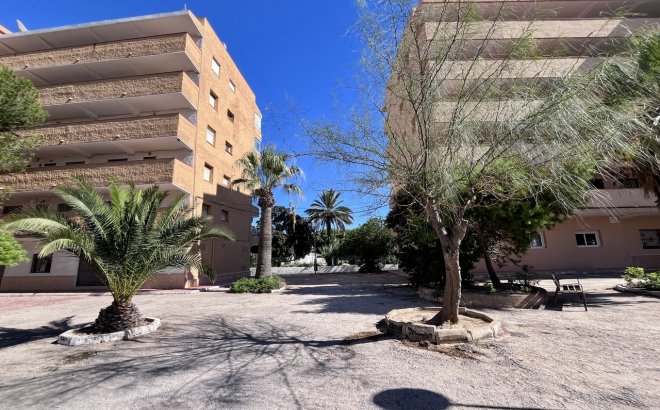 Herverkoop - Appartement -
La Mata - Costa Blanca