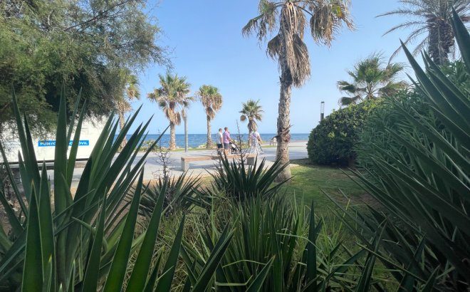 Herverkoop - Commercial -
Torrevieja - Costa Blanca