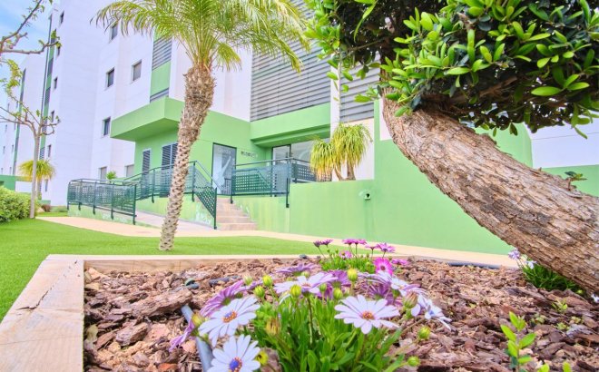 Resale - Apartment -
Mil Palmeras - Costa Blanca