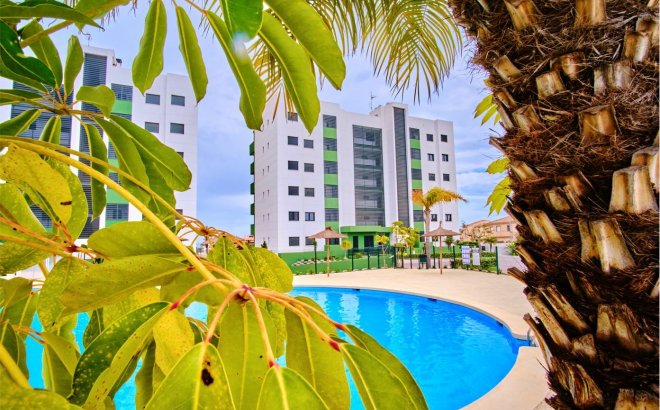 Resale - Apartment -
Mil Palmeras - Costa Blanca