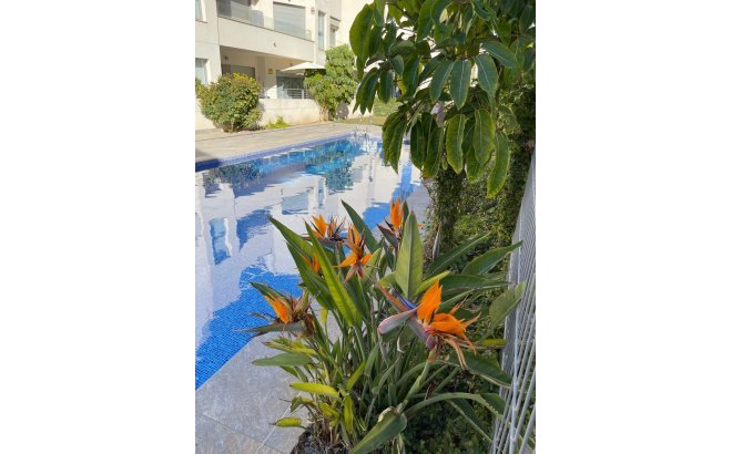 Resale - Bungalow -
Torrevieja - Costa Blanca