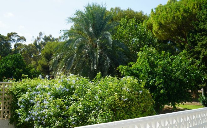 Resale - Town House -
Orihuela Costa - Costa Blanca