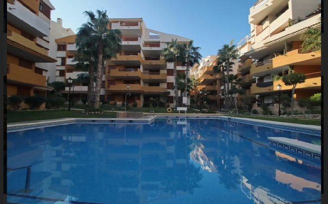 Revente - Appartement -
Torrevieja - Costa Blanca