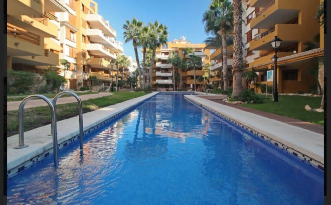Revente - Appartement -
Torrevieja - Costa Blanca