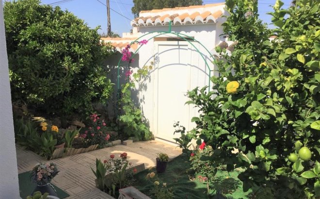 Revente - Town House -
Torrevieja - Costa Blanca