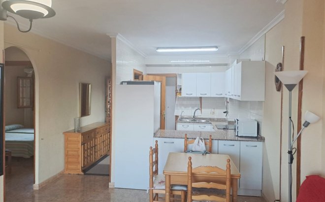 Resale - Apartment -
Torrevieja - Costa Blanca