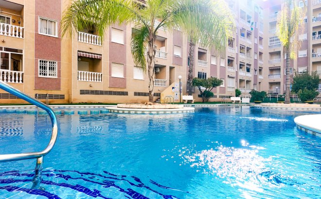 Resale - Apartment -
Torrevieja - Costa Blanca