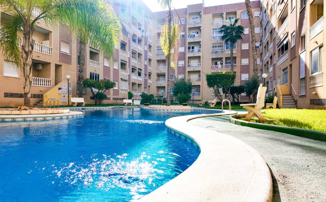 Resale - Apartment -
Torrevieja - Costa Blanca
