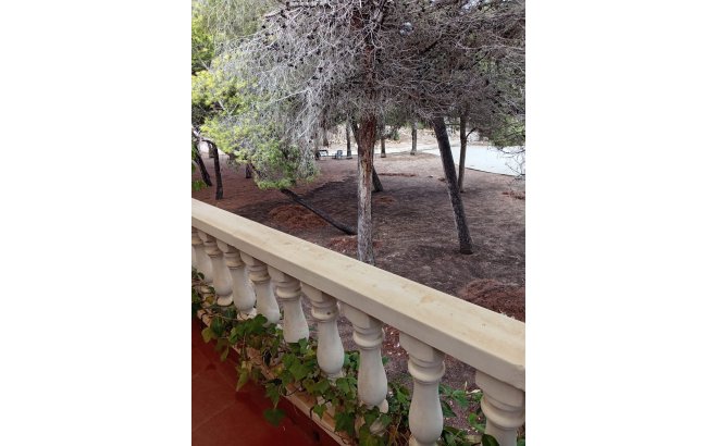 Revente - Town House -
Torrevieja - Costa Blanca