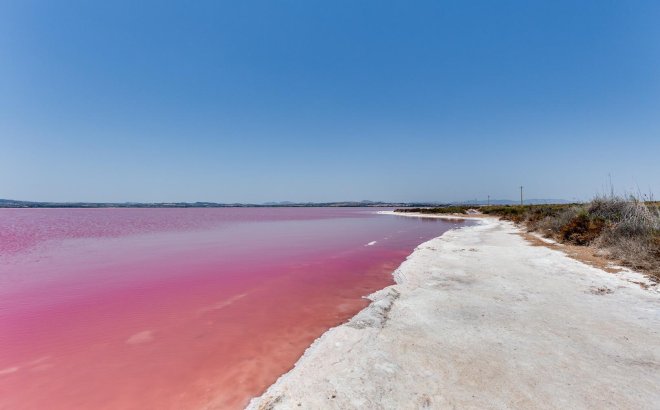 Resale - Apartment -
Torrevieja - Acequion