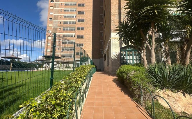 Herverkoop - Appartement -
Orihuela Costa - Campoamor