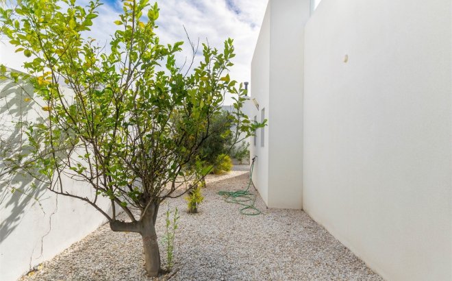 Resale - Villa -
Benijofar - Costa Blanca