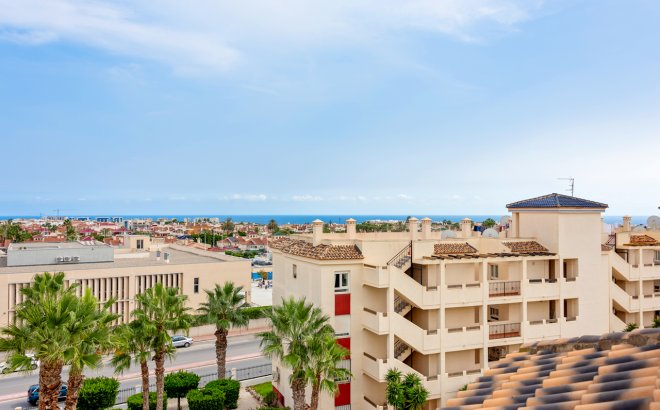 Resale - Apartment -
Playa Flamenca - Costa Blanca