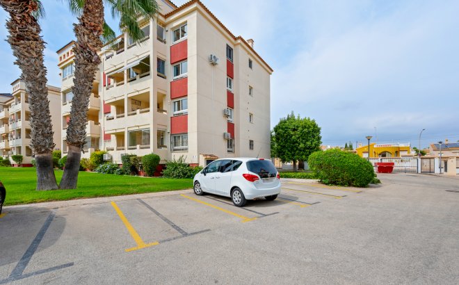 Resale - Apartment -
Playa Flamenca - Costa Blanca