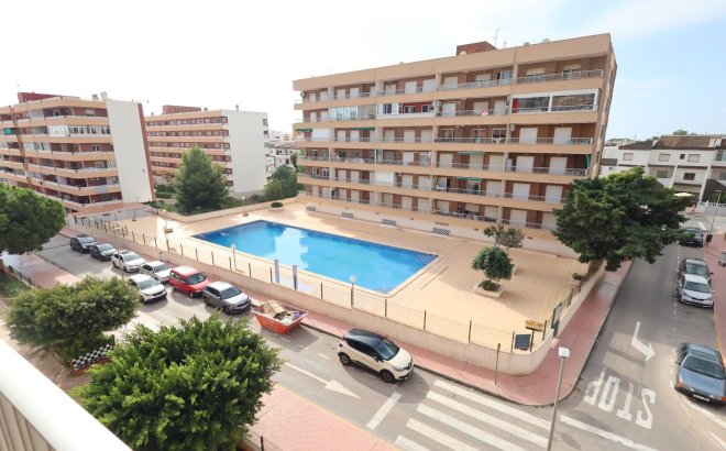 Resale - Apartment -
Torrevieja - Costa Blanca
