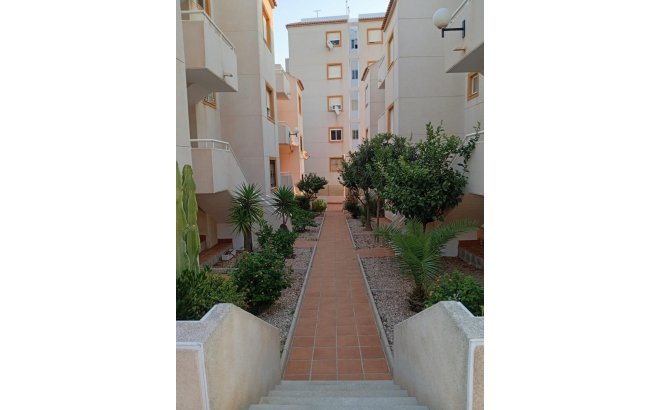 Revente - Appartement -
Torrevieja - Torreblanca