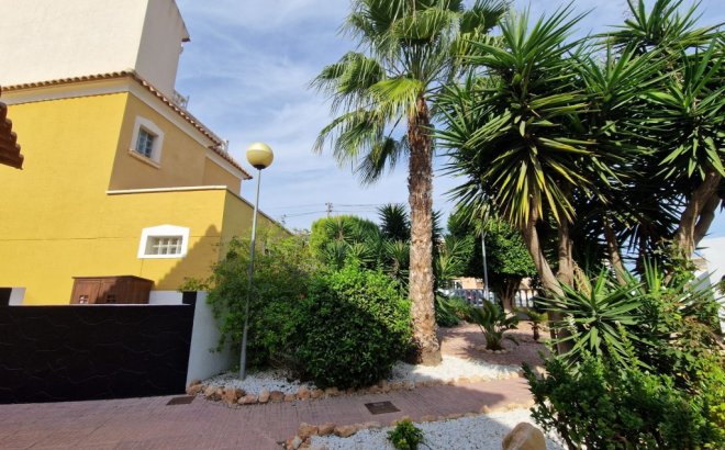 Resale - Dúplex -
Playa Flamenca - Costa Blanca