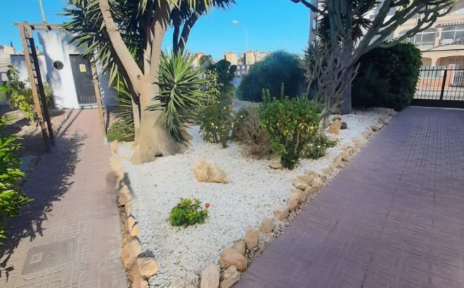 Resale - Dúplex -
Playa Flamenca - Costa Blanca