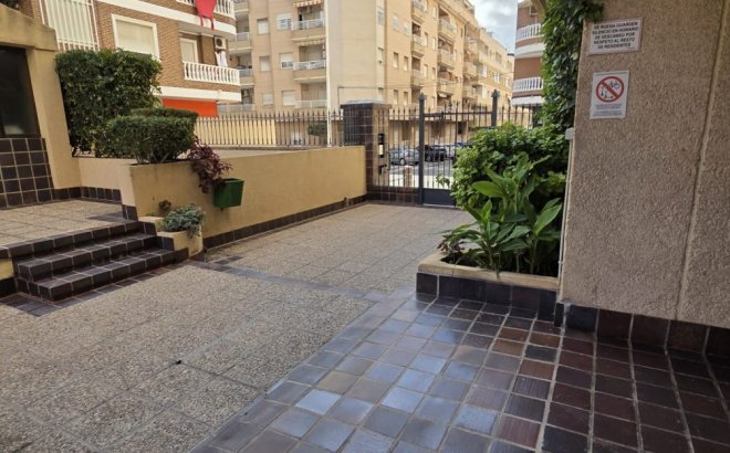 Resale - Apartment -
Torrevieja - Costa Blanca