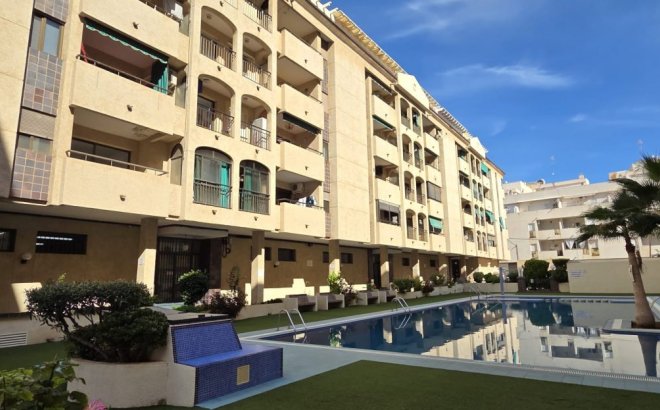 Resale - Apartment -
Torrevieja - Costa Blanca