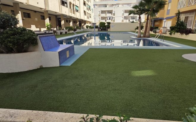 Resale - Apartment -
Torrevieja - Costa Blanca