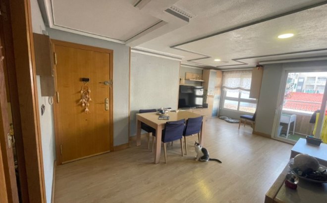 Resale - Apartment -
Torrevieja - Costa Blanca