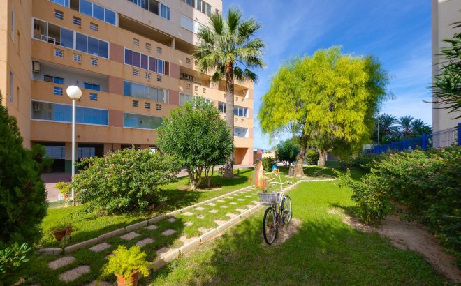Herverkoop - Appartement -
Torrevieja - La Veleta