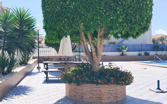 Resale - Apartment -
Torrevieja - Parque Acuático - Sector 25