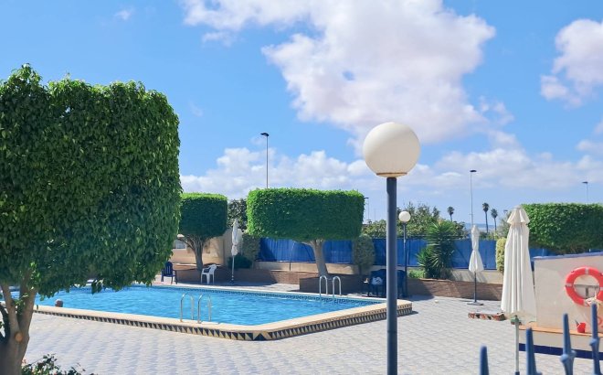 Resale - Apartment -
Torrevieja - Parque Acuático - Sector 25