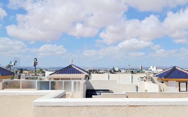 Resale - Apartment -
Torrevieja - Parque Acuático - Sector 25