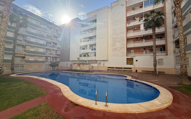 Resale - Apartment -
Torrevieja - Habaneras