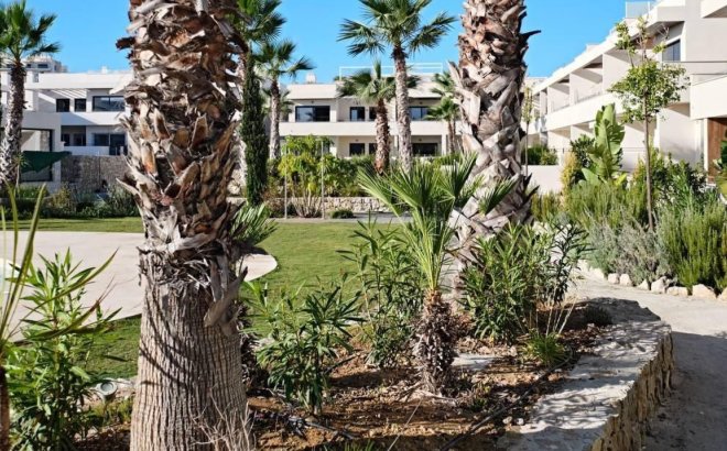 Herverkoop - Appartement -
Torrevieja - Costa Blanca