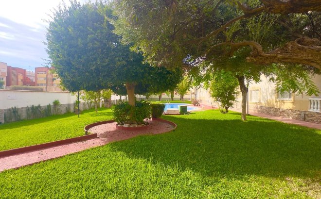 Revente - Penthouse -
Torrevieja - Estacion De Autobuses