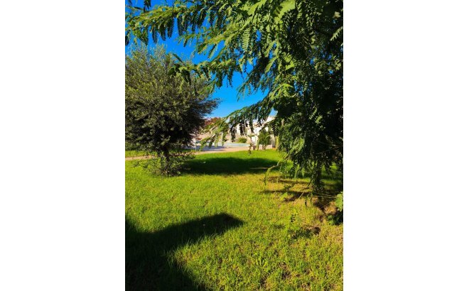 Herverkoop - Town House -
Torrevieja