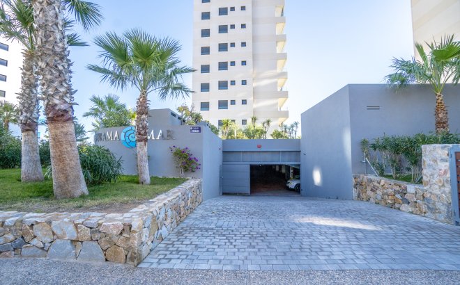 Revente - Appartement -
Torrevieja - Costa Blanca